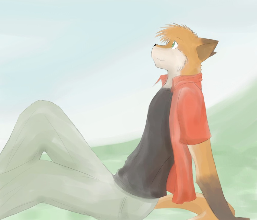 anthro bottomwear brown_pawpads clothing day ears_back from_side fur green_eyes leaning leaning_backward looking_up male orange_body orange_fur orange_tail outside pants pawpads pivoted_ears short_sleeves sitting solo tail tohfu ray_(fecama) canid canine fox mammal sketch