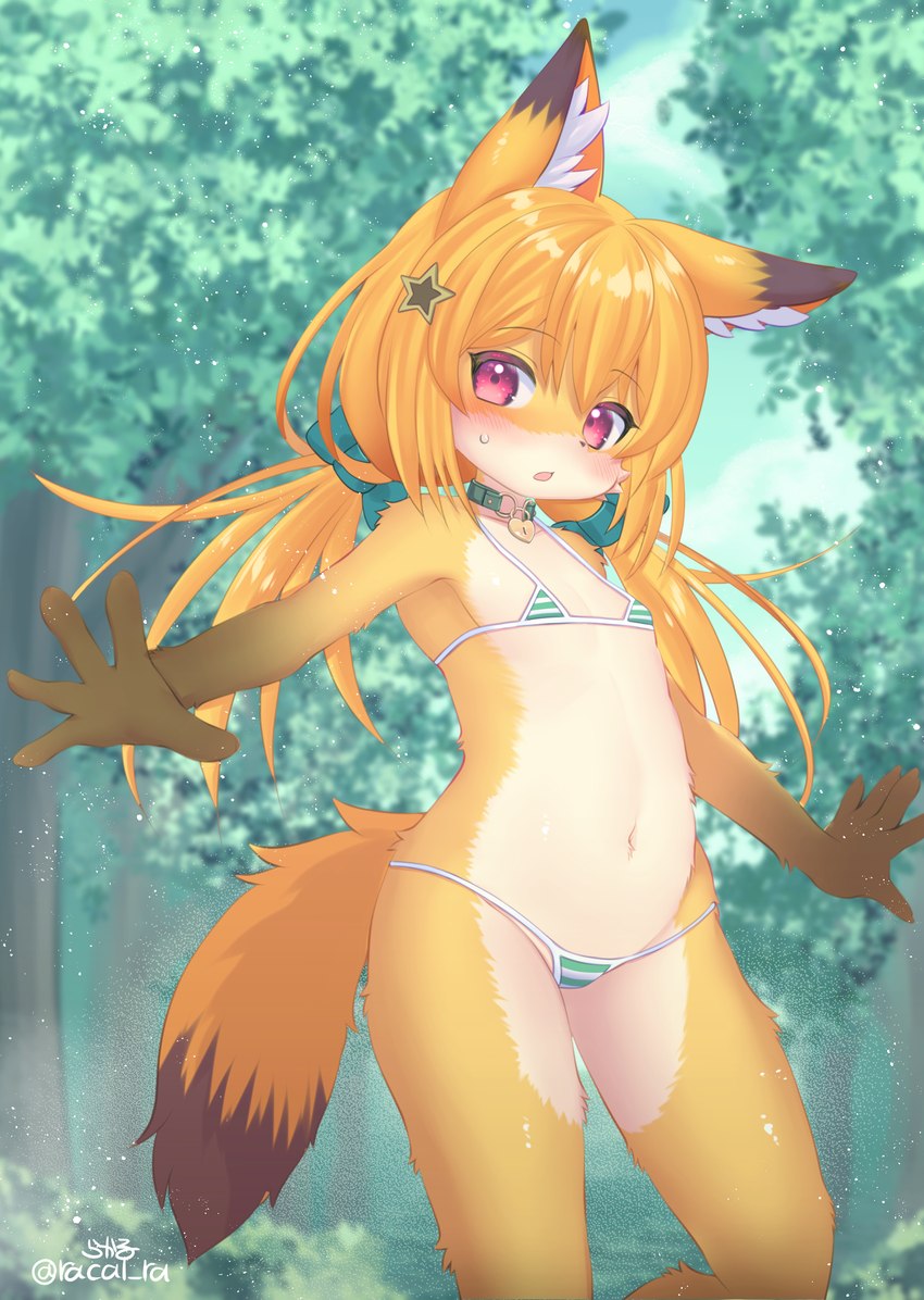 5_fingers accessory anthro bikini biped blonde_hair blue_bow blue_ribbon blurred_background blush bow_(feature) bow_accessory bow_ribbon brown_body brown_ear_tips brown_ears brown_fur brown_tail brown_tail_tip clothed clothing collar collar_tag countershade_face countershade_fur countershade_legs countershade_neck countershade_torso countershading day detailed_background dipstick_ears dipstick_tail ear_markings female female_anthro fingers flat_chested forest front_view fur gloves_(marking) hair hair_accessory hair_bow hair_ribbon heart_collar_tag humanoid_hands inner_ear_fluff kemono long_hair looking_at_viewer markings monotone_hair multicolored_body multicolored_ears multicolored_fur multicolored_tail navel open_mouth orange_body orange_fur orange_inner_ear orange_tail outside pink_eyes plant pupils ribbons skimpy sky solo standing string_bikini swimwear tail tail_markings three-quarter_view tree tuft twintails_(hairstyle) two-piece_swimsuit two_tone_tail white_body white_fur white_inner_ear_fluff yellow_body yellow_ears yellow_fur young young_anthro young_female racal_ra canid canine fox mammal absurd_res colored digital_media_(artwork) hi_res portrait shaded signature three-quarter_portrait