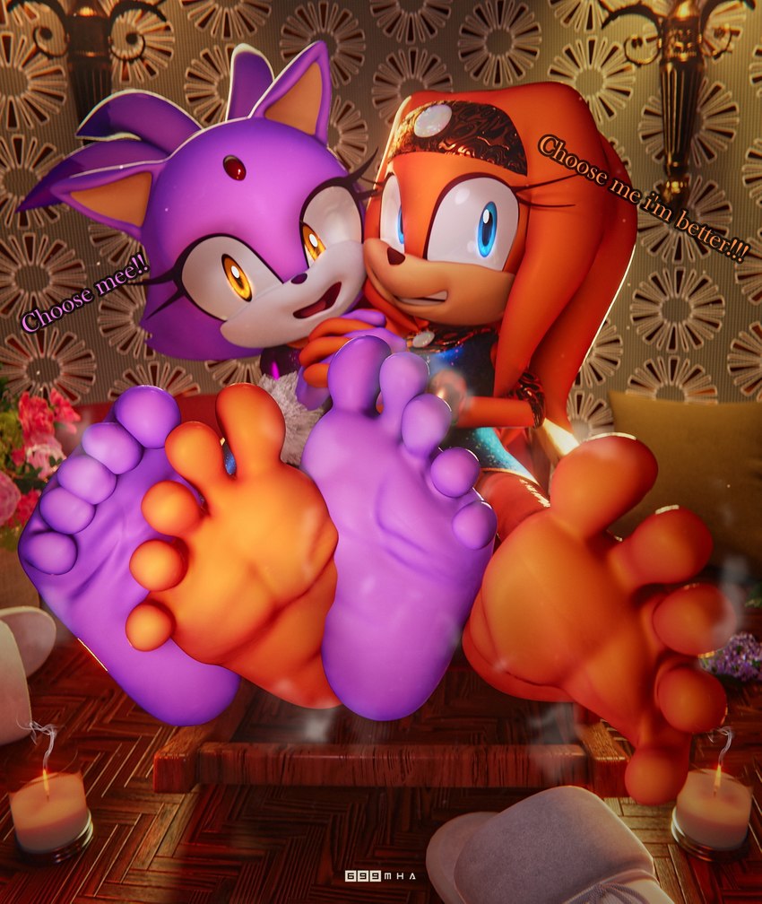 blaze the cat and tikal the echidna (sonic the hedgehog (series) and etc) created by 699mha