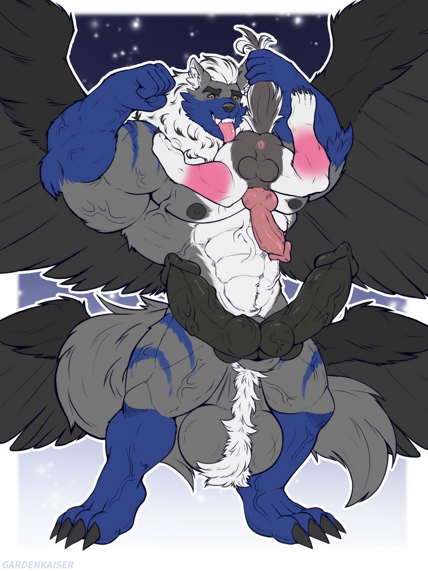 2_penises absorption_vore anthro anus ballhawk balls big_penis black_sclera duo erection genitals growth growth_sequence larger_anthro larger_male male male/male multi_genitalia multi_penis muscle_growth pectoral_vore penis saggy_balls size_difference spread_wings vein veiny_arms veiny_muscles veiny_penis vore wings gardenkaiser flickrtail canid canine canis domestic_dog husky hybrid mammal nephilim nordic_sled_dog spitz wolf 3:4 absurd_res hi_res