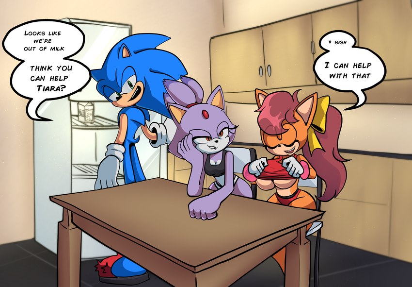 blaze the cat, sonic the hedgehog, and tiara boobowski (sonic the hedgehog (series) and etc) created by zettoart