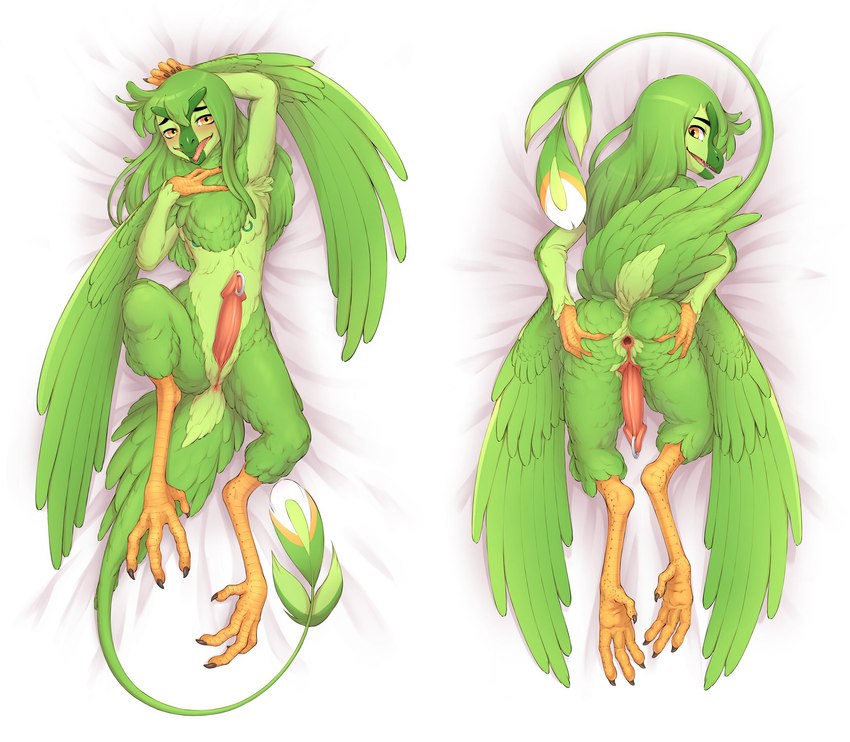 4_fingers 4_toes animal_genitalia animal_penis anthro anus armpit_tuft ass_up bed_sheet bedding blush chest_tuft dakimakura dewclaw digitigrade erection feathered_wings feathers feet femboy fingers genital_piercing genital_slit genitals glans glans_piercing green_body green_feathers green_hair hair hand_behind_head hand_on_butt hand_on_chest high-angle_view lidded_eyes long_feathers long_hair long_tail looking_at_viewer looking_back looking_back_at_viewer lying male multicolored_body multicolored_feathers nipple_piercing nipples nude on_back on_front open_mouth penis penis_backwards penis_piercing piercing pink_penis presenting presenting_anus presenting_penis prince_albert_piercing raised_tail scuted_hands scuted_legs scutes simple_background solo spread_anus spreading tail tail_feathers toes tongue tuft two_tone_body two_tone_feathers white_bed_sheet white_bedding winged_arms wings yellow_eyes yellow_scutes bubonikku lime_ade avian nevrean 2021 colored dakimakura_design hi_res