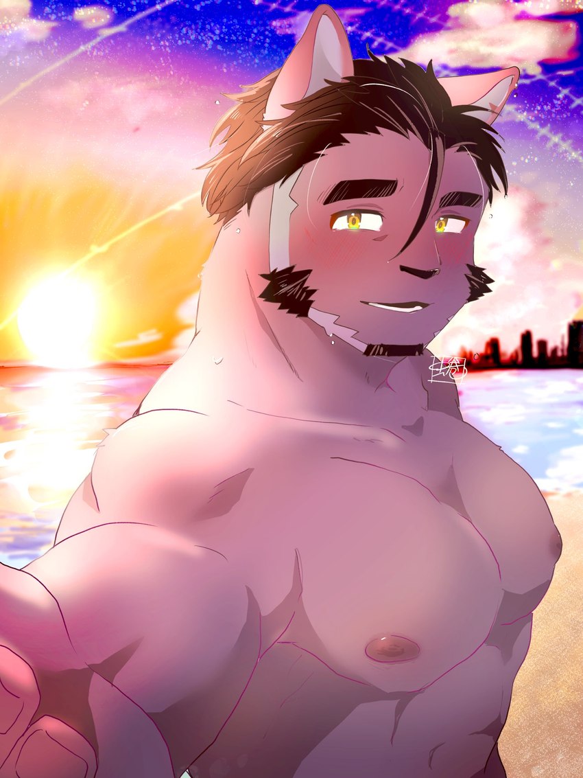 abs anthro black_hair city city_background facial_hair fur hair male mature_male muscular muscular_anthro muscular_male nipples pecs purple_body purple_fur smile solo sunset nina27_sg lifewonders live_a_hero tsuneaki domestic_cat felid feline felis mammal 3:4 hi_res