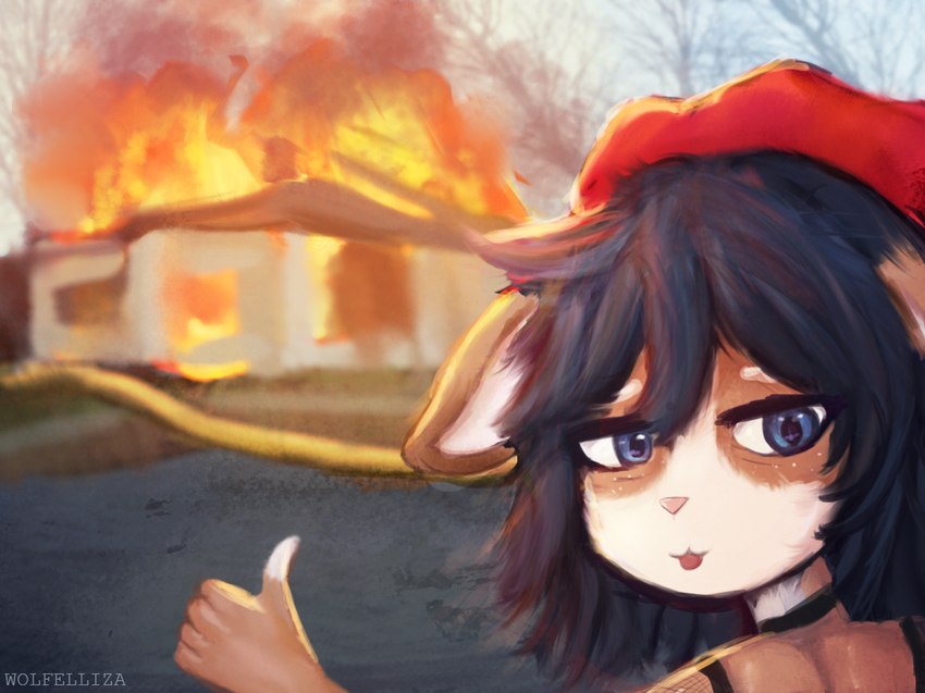 anthro beret black_hair blep blue_eyes brown_body brown_fur burning burning_building clothing female fire fur gesture hair hand_gesture hat headgear headwear meme_face outside solo thumbs_up tongue tongue_out young wolfelliza disaster_girl freia_(frei22) canid canine canis domestic_dog husky mammal nordic_sled_dog spitz meme