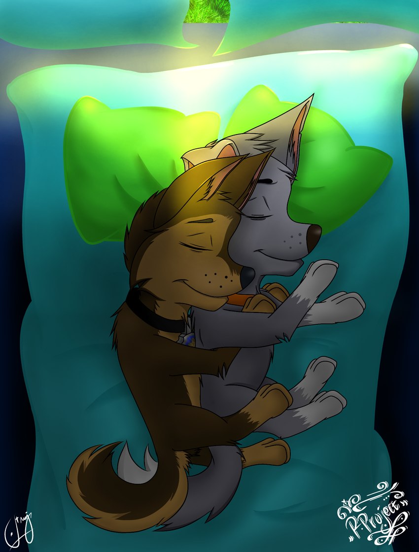 brown_body brown_fur collar duo eyes_closed feral fur grass grey_body grey_fur hug hugging_another hugging_from_behind light male male/male morning pillow plant sleeping sleeping_bag smile sunlight tent white_paw young young_feral chocky25 paw_patrol chase_(paw_patrol) rocky_(paw_patrol) canid canine canis domestic_dog german_shepherd herding_dog mammal mixed_breed pastoral_dog hi_res