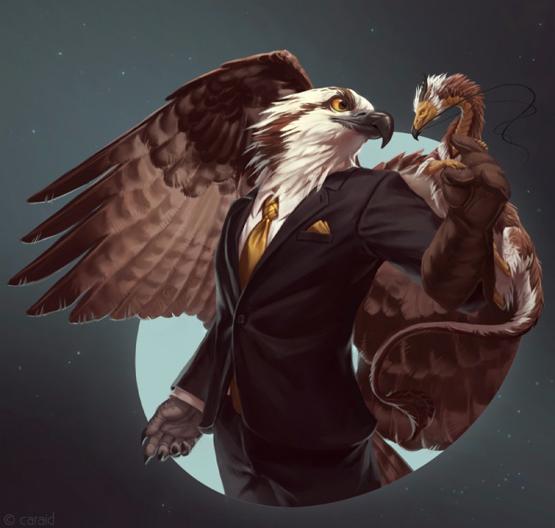 5_fingers anthro back_wings beak black_beak bottomwear brown_body brown_feathers claws clothed clothing duo eldredge_knot eye_contact feathered_wings feathers fingers fully_clothed gloves handkerchief handwear jacket kerchief looking_at_another male multi_limb necktie orange_eyes pants pocket_square shirt simple_background smile standing suit tail topwear white_body white_feathers wings caraid asian_mythology east_asian_mythology mythology eva_(ozawk) ozawk_(character) accipitrid accipitriform avian bird dragon eastern_dragon egyptian_vulture feathered_dragon feathered_scalie hybrid mythological_creature mythological_scalie old_world_vulture osprey scalie vulture detailed