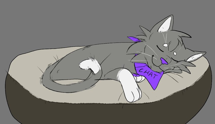 cat_tail eyes_closed feral fur grey_body grey_fur hair kerchief kerchief_only male mostly_nude purple_nose simple_background sleeping smile solo tail young young_feral young_male missjackieart chat_cat domestic_cat felid feline felis mammal