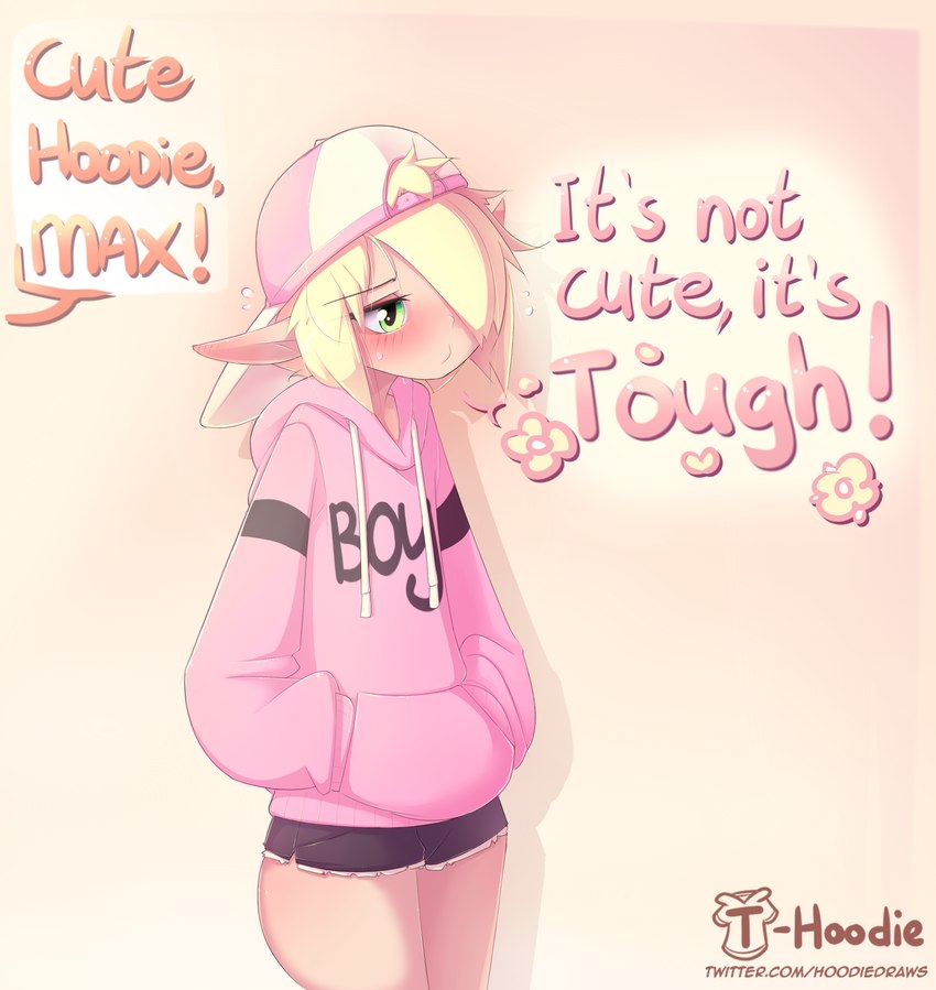 max created by hoodie (artist)