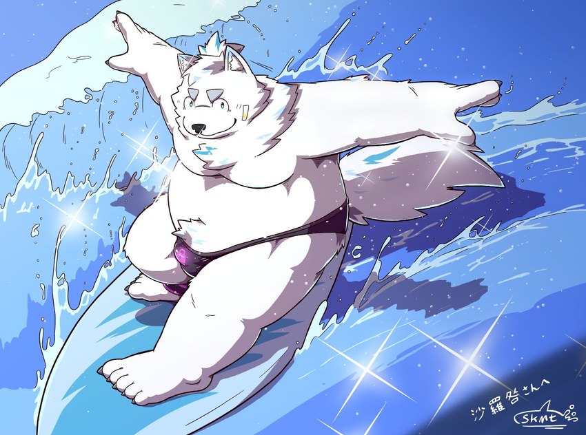 anthro bandage bandage_on_face belly bulge clothing fur hair male moobs navel nipples overweight ponytail sea solo speedo surfboard surfing swimwear water white_body white_fur shachi_ojisan lifewonders live_a_hero yohack canid canine canis domestic_dog mammal nordic_sled_dog samoyed spitz