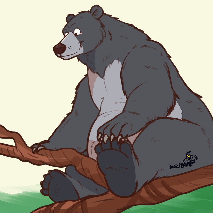 anthro belly branch claws fangs feral fur male nude sitting sitting_on_branch slightly_chubby slightly_chubby_anthro slightly_chubby_male smile solo teeth razigator disney the_jungle_book baloo bear mammal sloth_bear ursine 2024 hi_res signature