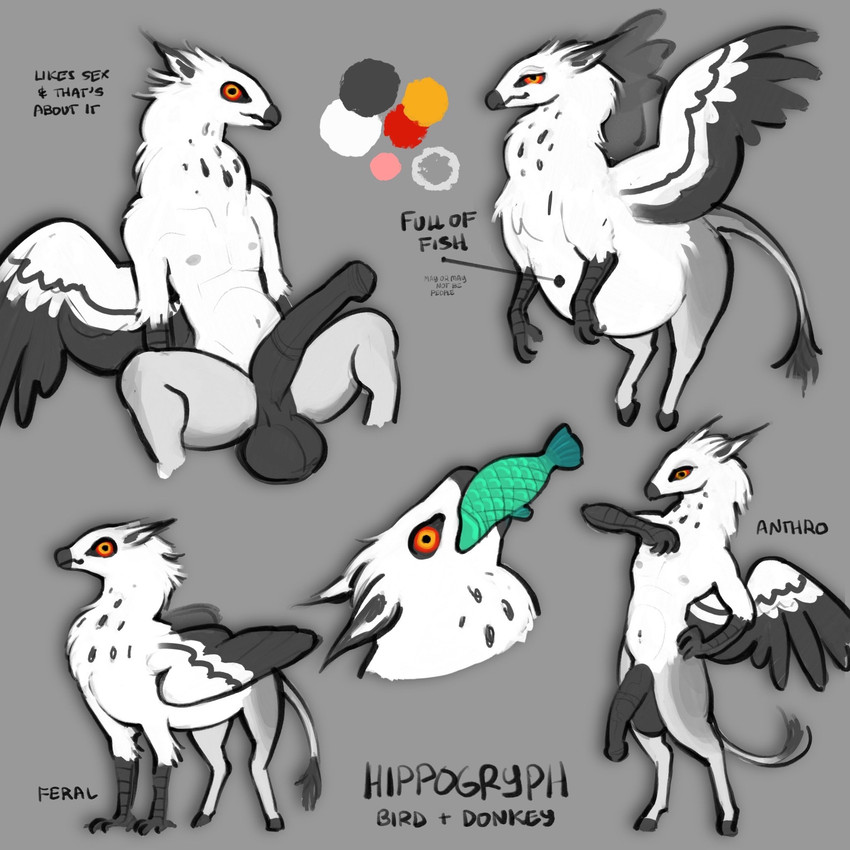 animal_genitalia animal_penis anthro balls beak belly big_penis eating equine_genitalia equine_penis erection feral genitals hooves huge_penis hyper hyper_genitalia hyper_penis male open_beak open_mouth overeating penis solo spread_wings text unguligrade vore vore_implied wings umamipenis european_mythology greek_mythology mythology asinus avian donkey equid equine gryphon hippogriff hybrid mammal mythological_avian mythological_creature 1:1 hi_res model_sheet