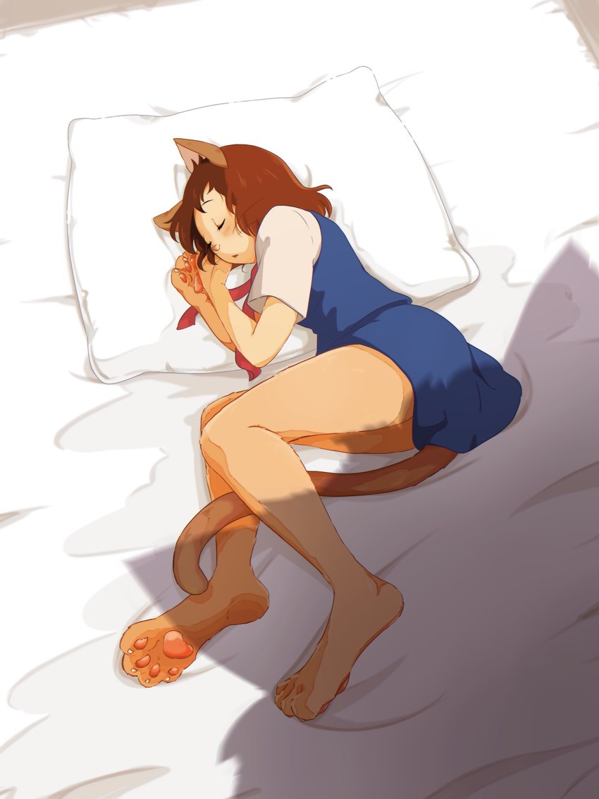 anthro bed bottomwear brown_body brown_fur clothed clothing cochimu00 female fully_clothed fur furniture hair handpaw lying necktie on_side open_mouth paws pillow school_uniform shadow skirt sleeping solo tail topwear transformation uniform vest whiskers ghibli the_cat_returns haru_yoshioka domestic_cat felid feline felis mammal absurd_res hi_res