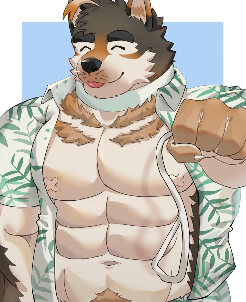 abs aloha_shirt anthro brown_body brown_fur clothing collar eyebrows fur leash male multicolored_body multicolored_fur muscular muscular_anthro muscular_male nipple_bandage pattern_clothing pattern_shirt pattern_topwear pecs shirt solo thick_eyebrows topwear ateeesta_92 lifewonders live_a_hero sterio canid canine canis domestic_dog mammal absurd_res hi_res