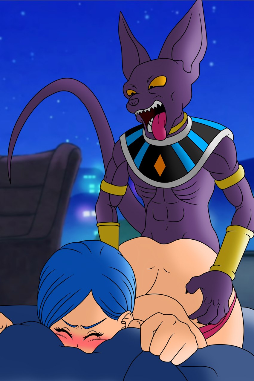 anthro blue_hair blush clothed clothing doggystyle duo eyes_closed female from_behind_position hair hairless male male/female night nude panties panties_down partially_clothed purple_body sex short_hair tongue tongue_out underwear underwear_down setthh98 dragon_ball dragon_ball_super beerus bulma alien deity domestic_cat felid feline felis hairless_cat human mammal sphynx_(cat) absurd_res hi_res