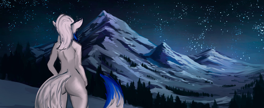 ambiguous_gender anthro blue_hair blue_tail detailed_background fur hair mountain night nude outside plant sky snow solo star starry_sky tail tree white_body white_ears white_fur white_hair white_tail peyzazhik amber_puppy canid canine canis mammal wolf hi_res herm_(lore)