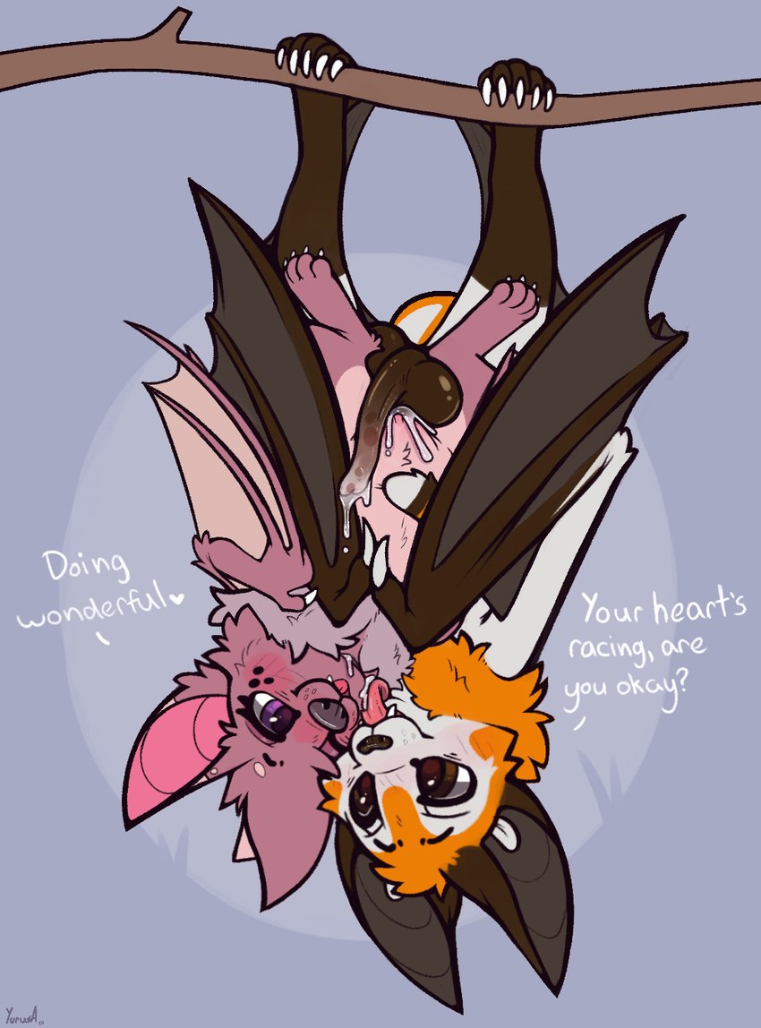 after_sex after_vaginal after_vaginal_penetration afterglow anatomically_correct anatomically_correct_genitalia anatomically_correct_penis animal_genitalia animal_penis anthro balls bat_ears bat_wings big_balls blep blush blush_lines bodily_fluids branch brown_eyes calcar chiropteran_penis claws clitoris cuddling cum cum_drip cum_in_pussy cum_inside cum_on_face cum_on_penis cum_on_tongue cute_fangs dialogue dripping duo eye_contact face_lick fangs female fur genital_fluids genitals hanging_from_branch happy happy_sex heart_nose heart_symbol hug hugging_another hugging_from_behind intimate leaking_cum licking licking_another licking_cum licking_partner lifting looking_at_another male male/female membrane_(anatomy) membranous_wings multicolored_body multicolored_fur neck_tuft nude orange_body orange_fur patagium paws penis pink_body pink_fur pull_out purple_eyes semi-anthro sex simple_background smile smiling_at_another smiling_at_partner teeth text toe_claws tongue tongue_out tragus tuft upside_down using_wings white_body white_fur wing_hug wings yurusa fruit_slice_(yurusa) jack_desmodus bat mammal english_text hi_res