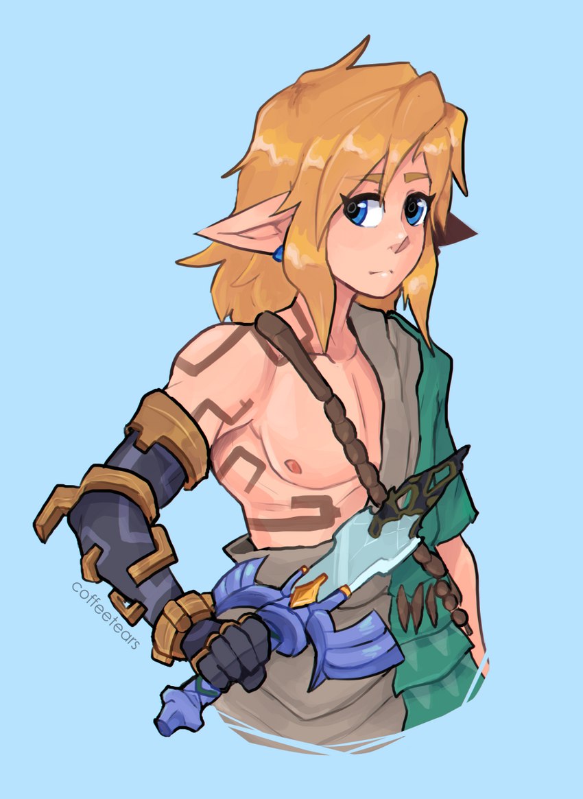 blonde_hair blue_eyes blush clothing hair humanoid_pointy_ears light_body light_skin long_hair male markings master_sword melee_weapon nipples not_furry pointy_ears rauru's_arm simple_background solo sword weapon coffeetears erocoffee nintendo tears_of_the_kingdom the_legend_of_zelda link elf humanoid hylian 2023 hi_res signature