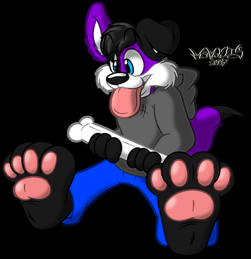 anthro big_feet bone clothing feet floppy_ears hoodie male pawpads paws solo tail tail_motion tailwag tongue tongue_out topwear marquis2007 pawalo canid canine canis domestic_dog elkhound mammal spitz alpha_channel hi_res