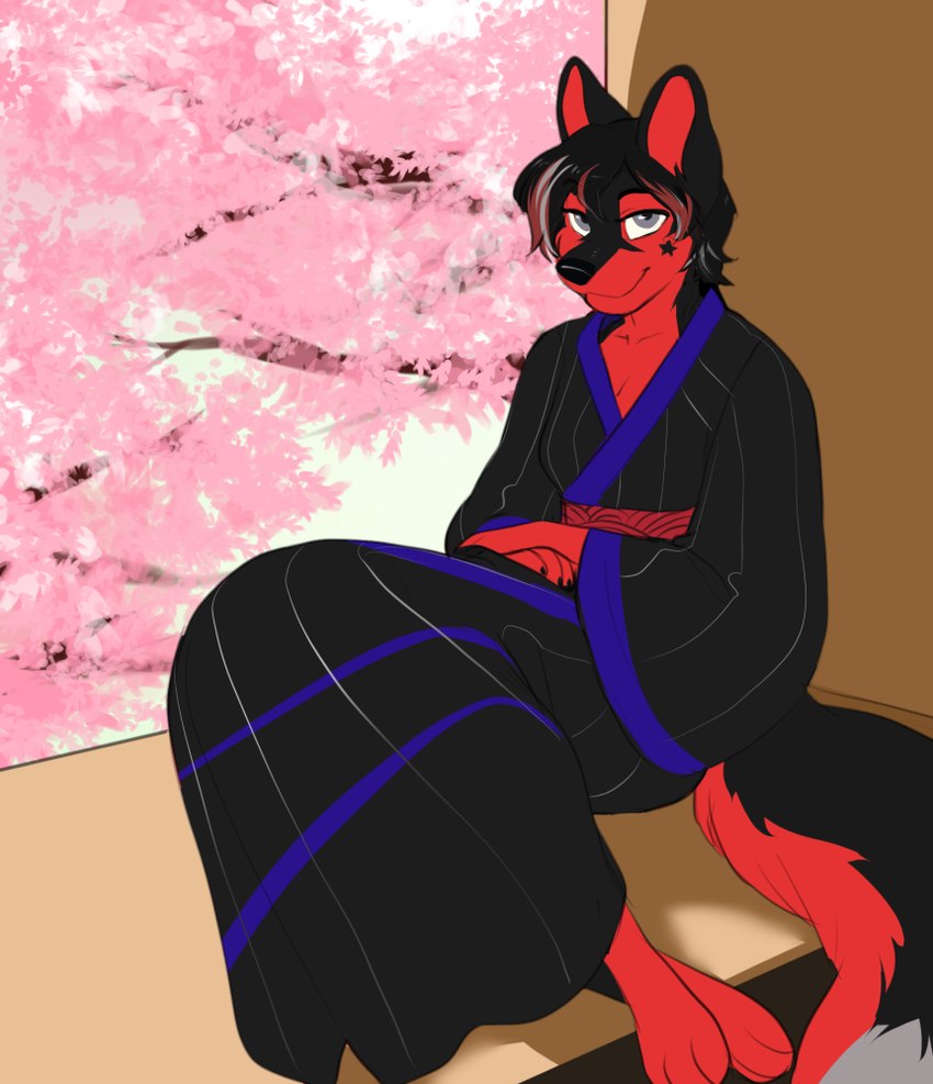 3_toes 5_fingers anthro asian_clothing bangs bedroom_eyes bent_arm bent_legs black_body black_claws black_clothing black_eyebrows black_fur black_hair black_kimono black_nose black_tail breasts cheek_tuft cherry_blossom claws cleavage clothed clothing collarbone dipstick_tail east_asian_clothing eyebrows eyelashes facial_tuft feet female finger_claws fingers flower fluffy fluffy_tail fur grey_eyes grey_hair grey_tail_tip hair highlights_(coloring) japanese_clothing kimono looking_at_viewer markings multicolored_body multicolored_fur multicolored_hair multicolored_tail narrowed_eyes paws plant prunus_(flower) red_body red_fur red_hair red_inner_ear red_tail seductive short_hair sitting smile smiling_at_viewer solo star_(marking) tail tail_markings toes tree tuft jailbird inspy_rosewood canid canine canis domestic_dog husky mammal nordic_sled_dog spitz 2023 colored digital_drawing_(artwork) digital_media_(artwork) shaded simple_shading