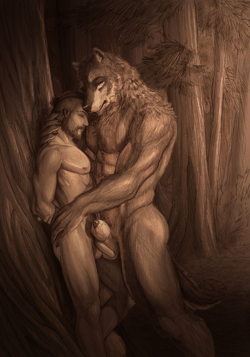 abs animal_genitalia animal_penis anthro balls beard canine_genitalia canine_penis duo eyes_closed facial_hair foreskin forest genitals holding_partner hug human_on_anthro humanoid_genitalia humanoid_penis interspecies intimate larger_anthro larger_male leaf male male/male male_anthro male_humanoid muscular muscular_anthro muscular_male nipples nude pecs penis penis_tip plant romantic romantic_couple sheath size_difference smaller_human smaller_male tree s_anima canid canine canis human humanoid mammal wolf absurd_res hi_res