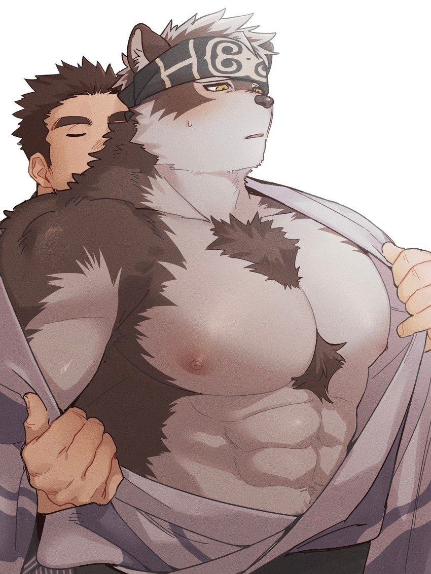 abs accessory anthro blush clothing duo fur grey_body grey_fur headband male male/male muscular muscular_anthro muscular_male nipples pecs undressing wani_jima lifewonders tokyo_afterschool_summoners horkeu_kamui_(tas) jock_protagonist_(tas) protagonist_(tas) canid canine canis human mammal wolf 3:4 hi_res