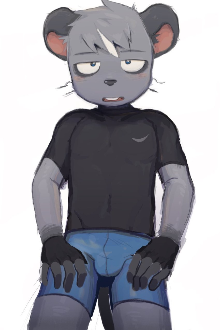 anthro blush bulge clothing male solo tight_clothing latotabo gelato_(latotabo) mammal murid murine rat rodent 2:3 hi_res