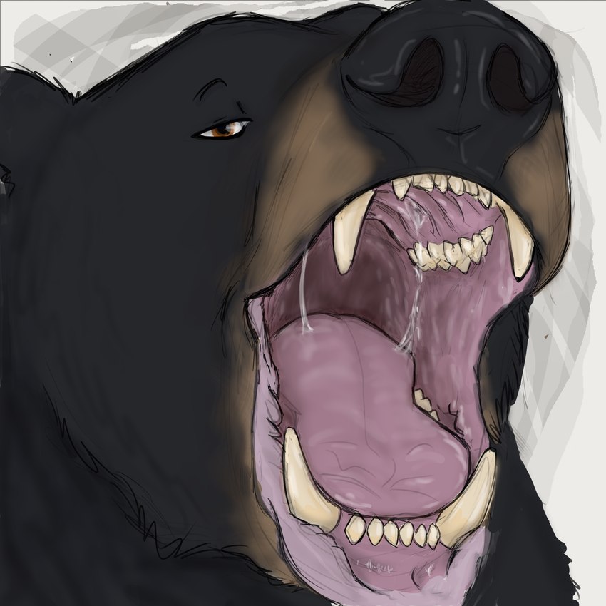 ambiguous_gender bodily_fluids fangs gaping_mouth looking_at_viewer mouth_shot open_mouth presenting_mouth saliva snout solo teeth throat tongue hgythshs bear black_bear mammal ursine digital_media_(artwork) hi_res
