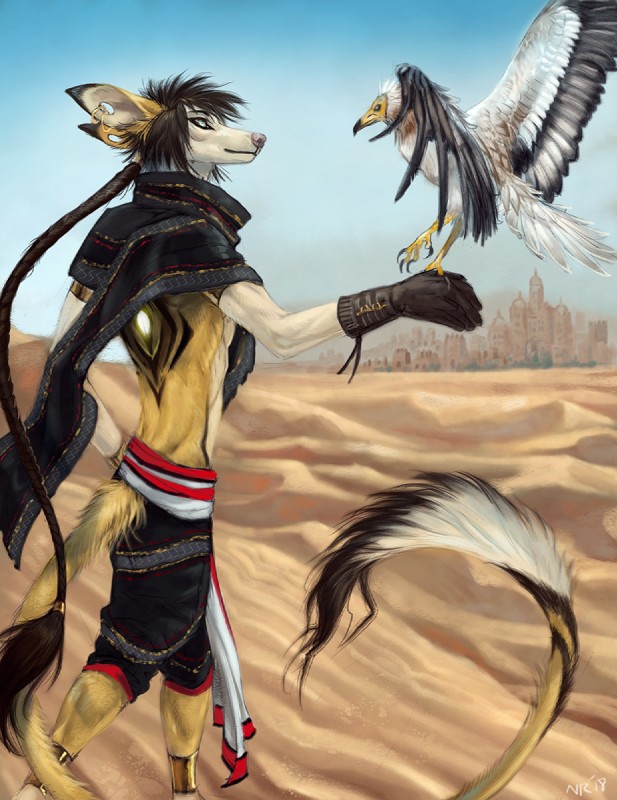 anthro black_body black_feathers blue_eyes day desert detailed_background duo feathered_wings feathers feral male outside sky smile wings nukerooster avian bird canid canine mammal 2018 digital_media_(artwork) hi_res