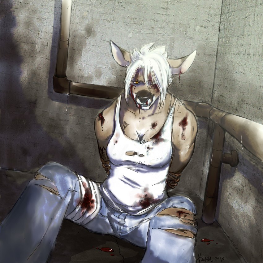 anthro arms_tied biped blood bodily_fluids bottomwear bound breasts bruised clothed clothing denim denim_bottomwear denim_clothing detailed_background ear_piercing female fully_clothed hair hands_behind_back jeans notched_ear pants piercing rope sitting solo torn_clothing white_hair wounded kaiven honey_(kaiven) deer mammal 1:1 2010 hi_res