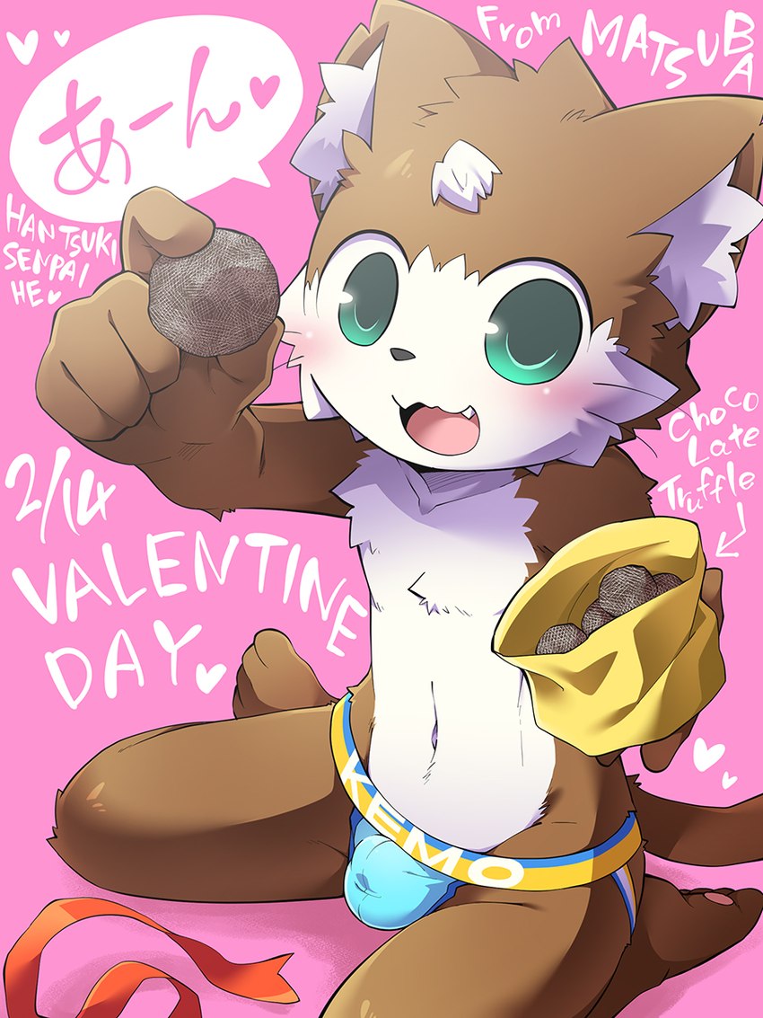 anthro bag bag_of_food belly black_nose blue_clothing blue_eyes blue_seam_underwear blue_underwear blush blushing_at_viewer brown_body brown_fur bulge candy chest_tuft chocolate clothed clothing colored_seam_underwear cute_fangs dessert detailed_bulge dialogue fangs food fur genital_outline green_eyes heart_symbol holding_food holding_object holidays kneeling looking_at_viewer male multicolored_body multicolored_fur name_drop name_in_dialogue on_ground open_mouth open_smile penis_outline pink_background simple_background sitting smile smiling_at_viewer solo speech_bubble sweets tail teeth text text_on_clothing text_on_underwear tight_clothing tight_underwear tuft two_tone_body two_tone_fur underwear underwear_only valentine's_day_card white_belly white_body white_chest white_fur yellow_bag yellow_seam_underwear young young_anthro young_male ko-gami valentine's_day matsuba_(ko-gami) domestic_cat felid feline felis mammal 2020 3:4 dated digital_media_(artwork) english_text hi_res japanese_text