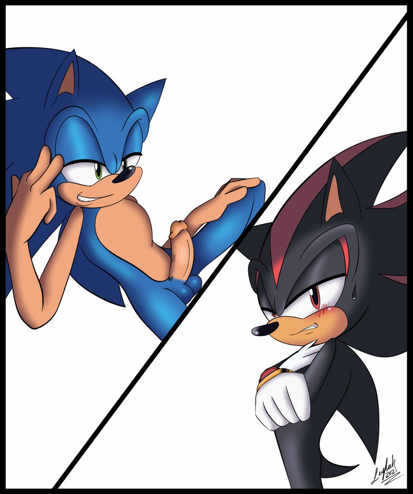 anthro balls black_body black_border blue_body blush border clenched_teeth clothing crossed_arms duo erection flirting_look genitals gloves handwear male male/male penis simple_background smile smirk teeth leylahshan sega sonic_the_hedgehog_(series) shadow_the_hedgehog sonic_the_hedgehog eulipotyphlan hedgehog mammal 2021 digital_drawing_(artwork) digital_media_(artwork) hi_res