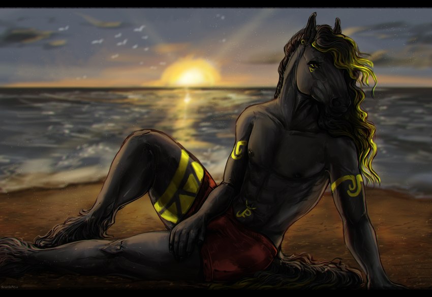 anthro beach black_bars black_hair blonde_hair bottomwear bulge clothed clothing ear_piercing fur gauged_ear grey_body grey_fur hair male markings multicolored_hair outside piercing red_bottomwear red_clothing sea sitting solo sunset text topless two_tone_hair water yellow_eyes yellow_markings scarlanya pegasonikame equid equine horse mammal artist_name hi_res letterbox