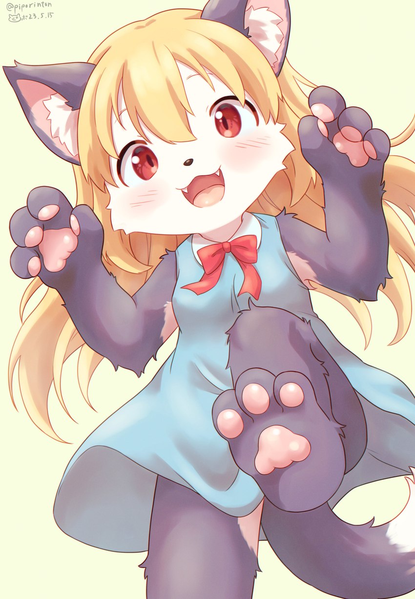 3_toes 4_fingers anthro blonde_hair blue_clothing blue_dress blush blush_lines brown_eyes clothing cute_fangs dipstick_tail dress fangs feet female fingers fur grey_body grey_fur hair long_hair markings neck_ribbon open_mouth pawpads pupils red_ribbon simple_background slit_pupils soles solo tail tail_markings teeth toes tongue white_face white_tail_tip yellow_background young young_anthro young_female piporinton futaba_channel akuma_gaoru canid canine canis mammal 2023 absurd_res dated hi_res signature