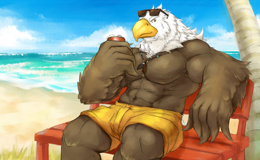 abs alcohol anthro beach beak beer bench beverage beverage_can biceps biped bottomwear clothed clothing cloud day eyebrows eyewear feather_hands feathers furgonomics jewelry kemono looking_at_viewer male muscular muscular_anthro muscular_male navel necklace on_bench outside palm_tree pecs plant sand seaside shorts sitting sky smile smiling_at_viewer solo swimwear tail tail_clothing tail_feathers topless tree water white_eyebrows white_tail_feathers yellow_beak yellow_eyes cinna-tree accipitrid accipitriform avian bald_eagle bird eagle sea_eagle 2018 hi_res portrait three-quarter_portrait