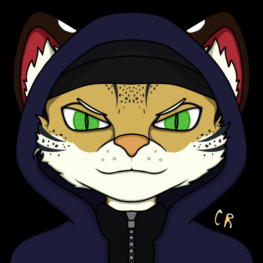 angry anthro clothing green_eyes hat headgear headwear hoodie male solo topwear wool_clothing wool_hat wool_headwear cyberrodrigo rodrigo_(cyberrodrigo) felid feline leopardus mammal ocelot 1:1 alpha_channel