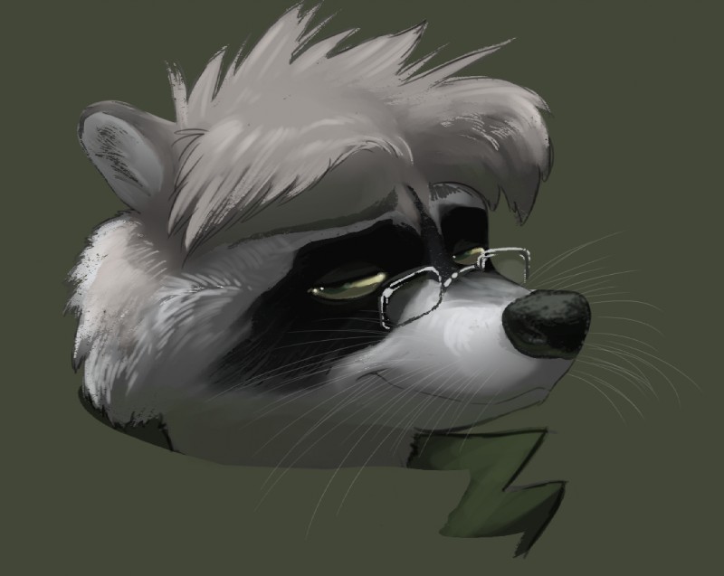 anthro eyewear glasses male solo conditional_dnp jonas jonas_(character) mammal procyonid raccoon 2013