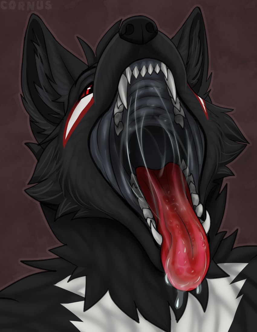 anthro black_body black_flesh black_fur bodily_fluids fur male markings mouth_shot open_mouth red_eyes red_markings red_tongue saliva saliva_string solo teeth tongue tongue_out white_markings cornus kurai_(sgtmiller1233) canid canine canis mammal wolf hi_res