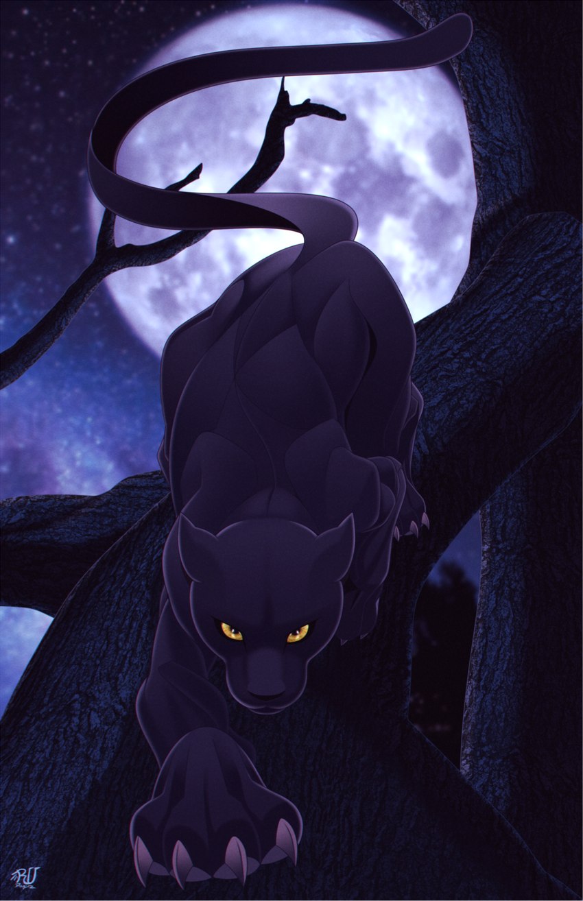 ambiguous_gender black_body black_fur claws detailed_background feral fur looking_at_viewer melanistic moon night outside pawpads sky solo star starry_sky tail yellow_eyes rudragon felid mammal pantherine 2022 digital_media_(artwork) digital_painting_(artwork) hi_res painting_(artwork) shaded signature