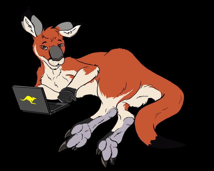 ambiguous_gender brown_eyes computer dipstick_ears dipstick_tail ear_markings electronics feral fur gloves_(marking) laptop looking_at_viewer markings multicolored_ears orange_body orange_fur solo tail tail_markings flinters rufus_black kangaroo macropod mammal marsupial 2017 5:4 alpha_channel digital_media_(artwork)