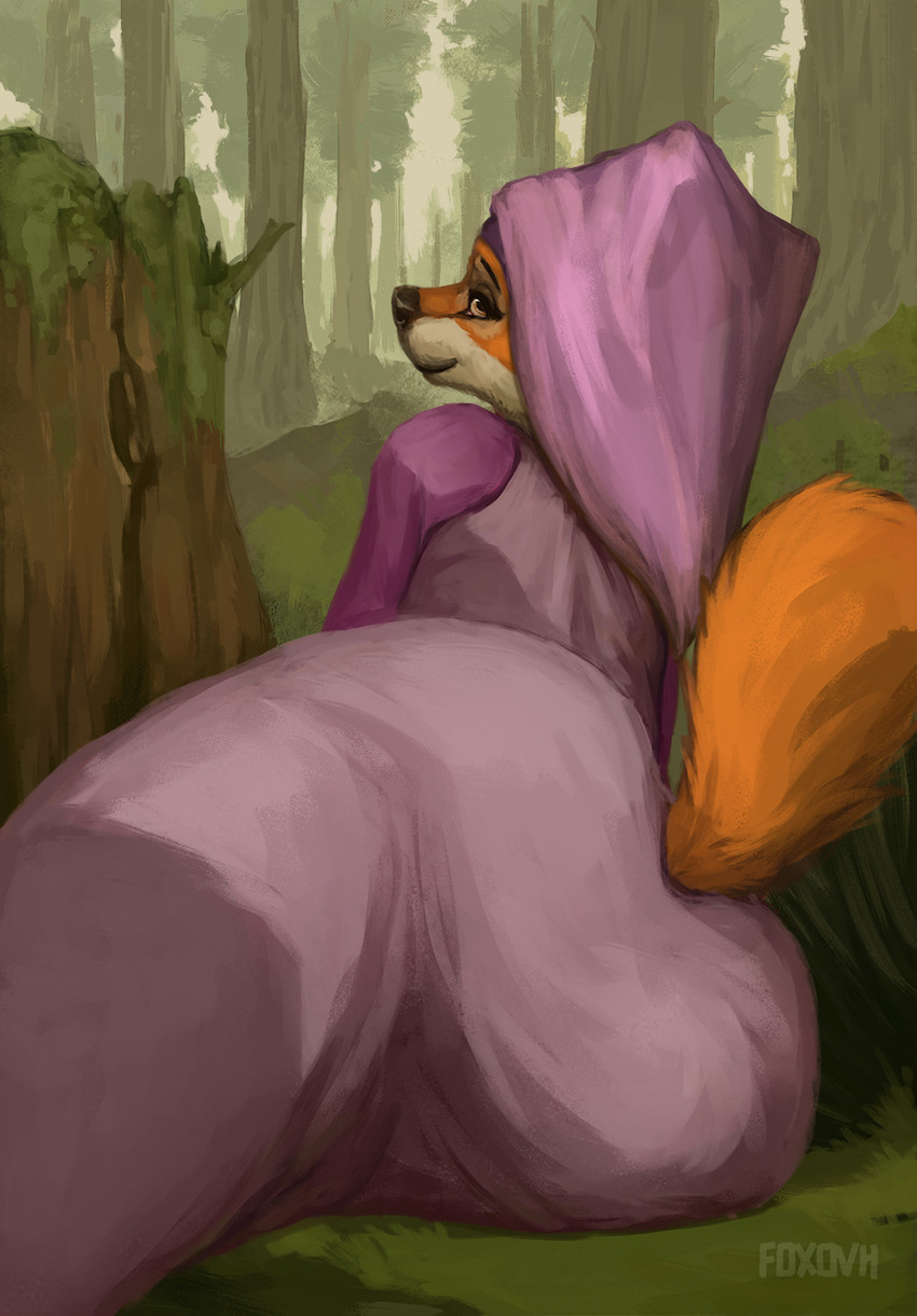 maid marian (robin hood (disney) and etc) created by foxovh