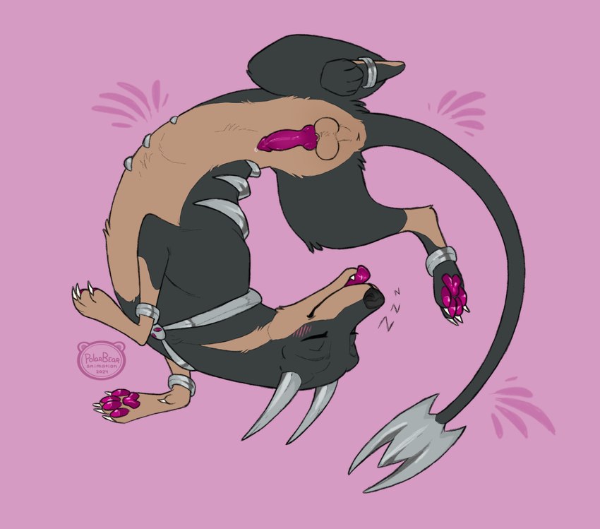 animal_genitalia animal_penis anus armlet balls bird's-eye_view blep blush bodily_fluids canine_genitalia canine_penis claws erection fangs feral genital_fluids genitals happy high-angle_view horn knot knotted_penis lying male on_back on_ground pawpads paws penis playful pose precum quadruped sheath simple_background sleeping smile solo sound_effects spread_legs spreading tail teeth tongue tongue_out vowelless vowelless_sound_effect zzz polarbearanimation nintendo pokemon generation_2_pokemon houndoom pokemon_(species) digital_drawing_(artwork) digital_media_(artwork) hi_res signature