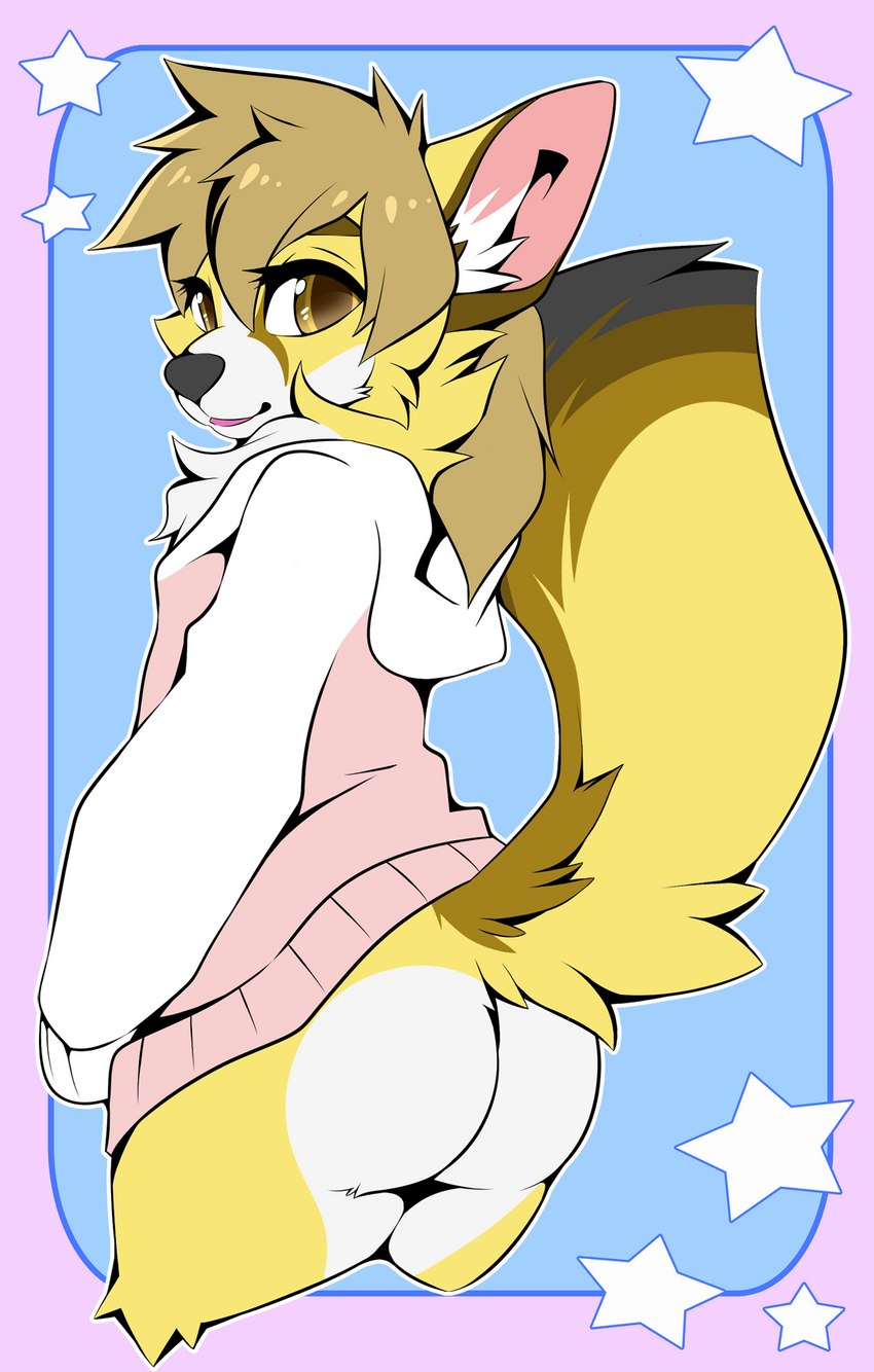 anthro brown_body brown_eyes brown_fur butt clothed clothing female fur hoodie solo topwear white_body white_fur y2k_(graphic_design) yellow_body yellow_fur slushie-nyappy-paws audri_(sleekhusky) canid canine canis domestic_dog fennec_fox fox herding_dog mammal pastoral_dog true_fox welsh_corgi hi_res