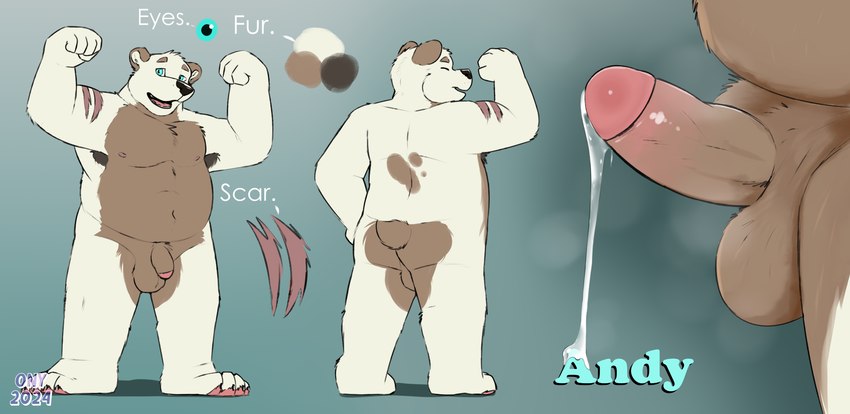 aroused genitals humanoid_genitalia humanoid_penis male muscular musk musk_clouds musky_penis penis pose presenting scar scut_tail short_tail solo tail onykr andy_(onykr) bear mammal hi_res model_sheet pinup