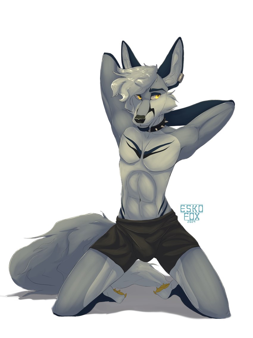 anthro blue_body blue_fur boxer_briefs claws clothed clothing collar ear_piercing feet fur grey_body grey_fur hair looking_at_viewer male markings pawpads paws piercing simple_background smile solo spiked_collar spikes tail toe_claws toes topless underwear white_body white_fur yellow_eyes yellow_pawpads eskofox canid canine fox mammal 2024 digital_media_(artwork) hi_res