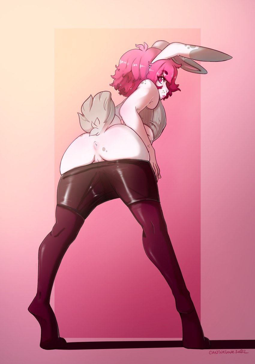 anthro anus butt clothed clothing hair looking_back pink_hair rear_view river simple_background solo caninelove koda_(koda57477247) humanoid lagomorph leporid mammal rabbit digital_media_(artwork) hi_res shaded trans_(lore)