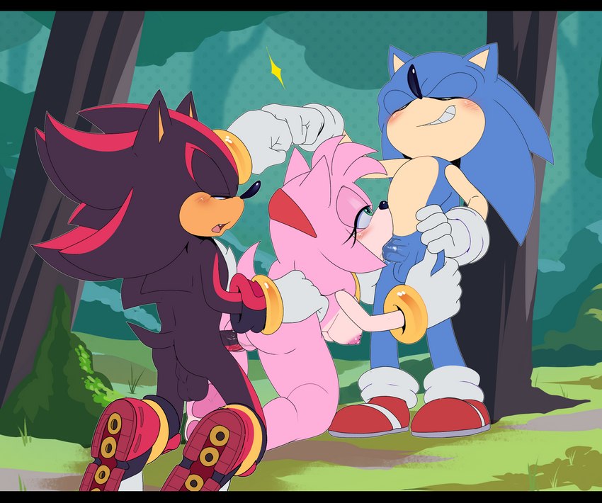 amy rose, shadow the hedgehog, and sonic the hedgehog (sonic the hedgehog (series) and etc) created by apinkgrape