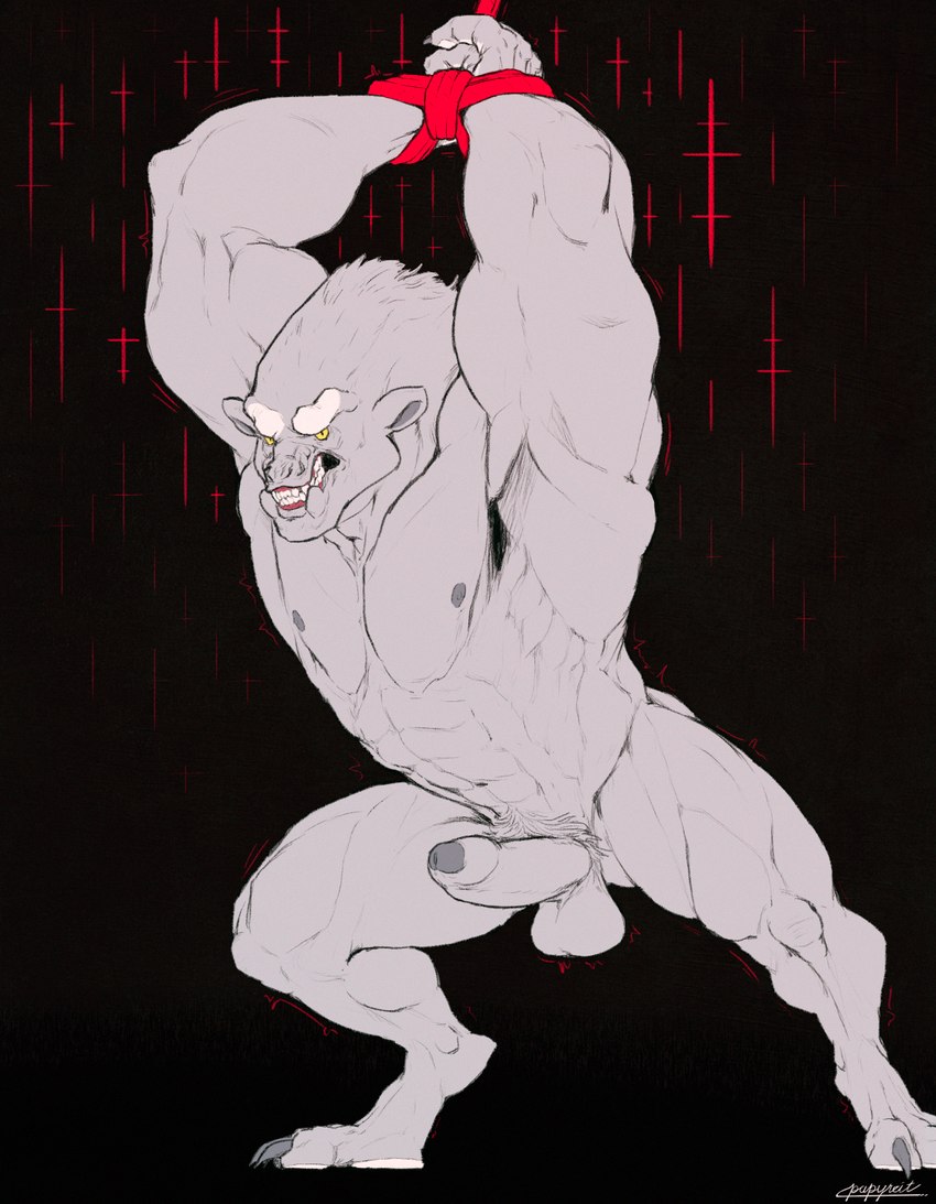 abs angry anthro arms_above_head balls bared_teeth bdsm biceps big_muscles bondage bound butt claws clenched_teeth digitigrade erection foreskin fur genitals grey_body grey_fur humanoid_genitalia humanoid_penis looking_at_viewer male muscular muscular_anthro muscular_male nipples obliques pecs penis pubes restraints rope rope_around_wrist rope_bondage snarling solo teeth triceps yellow_eyes papyreit leeds monster hi_res