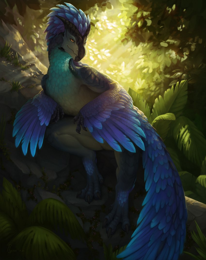 backlighting blue_body blue_feathers claws detailed_background feathered_arms feathers featureless_crotch feral forest head_feathers jungle light light_beam long_tail male nature nature_background plant solo sunbeam sunlight tail toe_claws tree ryinn capcom monster_hunter dinosaur feathered_dinosaur feathered_scalie prehistoric_species reptile scalie seikret wild_ride hi_res lighting