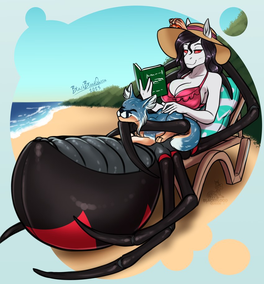 anthro beach bikini black_hair blue_body blue_fur book breasts cleavage clothed clothing day detailed_background domestic_pet female fur hair hat headgear headwear reading red_eyes sand sea seashell seaside shell summer_hat swimwear two-piece_swimsuit water wide_brim_hat blackblood-queen hasbro my_little_pony charlotte_silk_(oc) fan_character arachnid arachnid_taur arthropod arthropod_taur equid equine felid horse mammal pony spider spider_taur spiderpony taur 2023 absurd_res hi_res signature