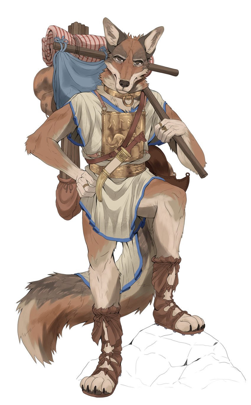 anthro armor backpack breastplate brown_body brown_fur clothed clothing collar feet fingers footwear fur knife looking_at_viewer male melee_weapon shirt shoes simple_background solo standing tail topwear tunic weapon pelzibat canid canine canis coyote mammal absurd_res digital_media_(artwork) hi_res